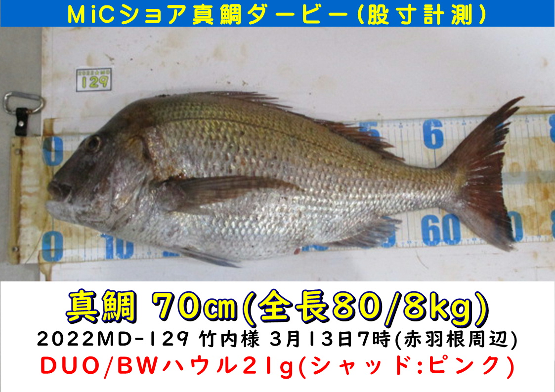 22micショア真鯛ダービー 1月 12月末 5月末迄の釣果まとめ ミック釣り具 釣りエサのコンビニ 釣りのことなら全て揃う