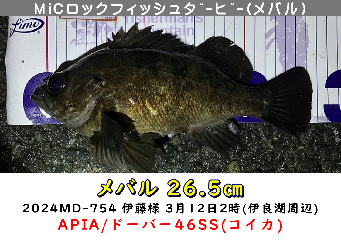 メバル 最終結果 □24MiCロックフィッシュダービー（メバル） - ミック釣り具